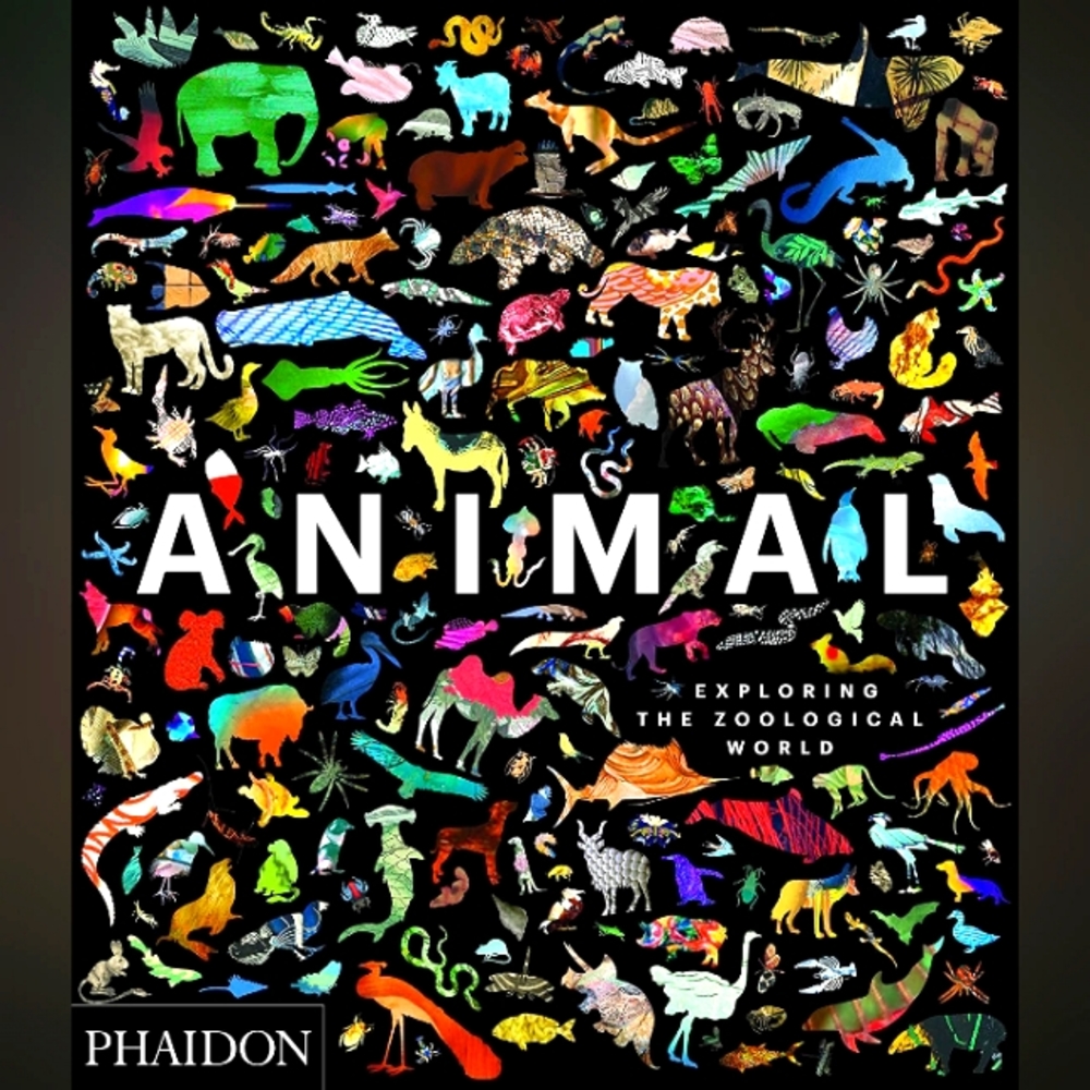 Animal, Exploring the Zoological World is a visually stunning and broad-ranging
